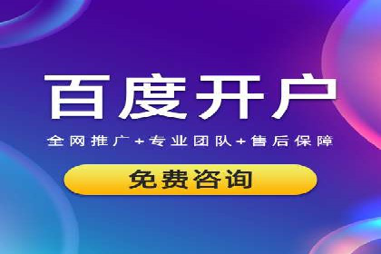 百度竞价排名案例分析：提升网站流量与转化率